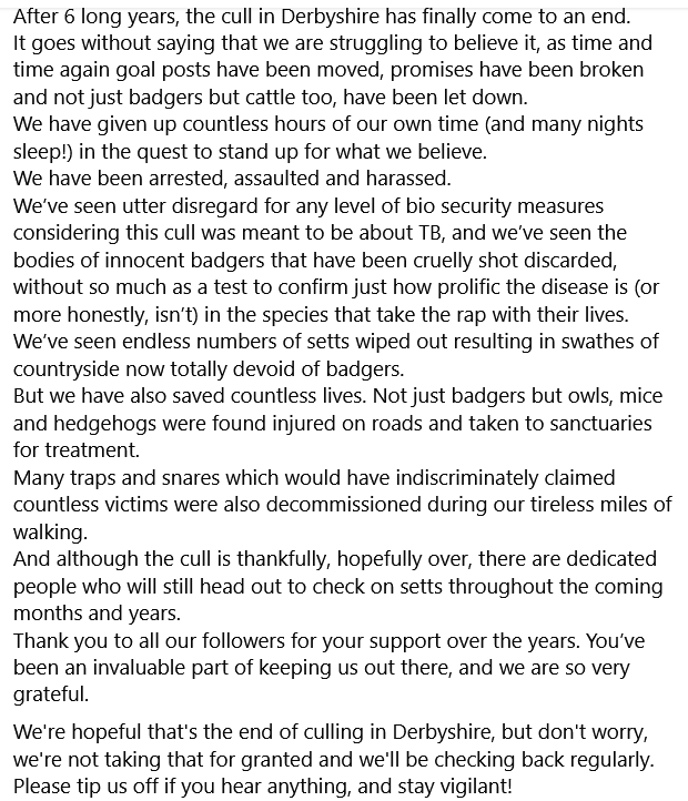 Amelea Teckel tweet media