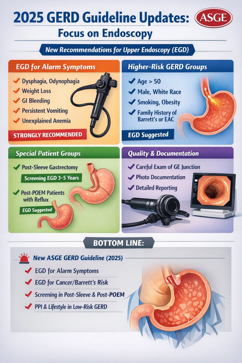 Dr mohamed Said Elgamal (@msaidelgamal) on Twitter photo 