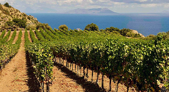 ItalyTravel's tweet image. On your Sicily vacation consider a wine tasting around the Valley of Temples in Agrigento sco.lt/7qXf29 #SicilyTours #Sicily #Vacations #ItalianTourism #ItalyTourPackages #ItalyTours #ItalyVacations