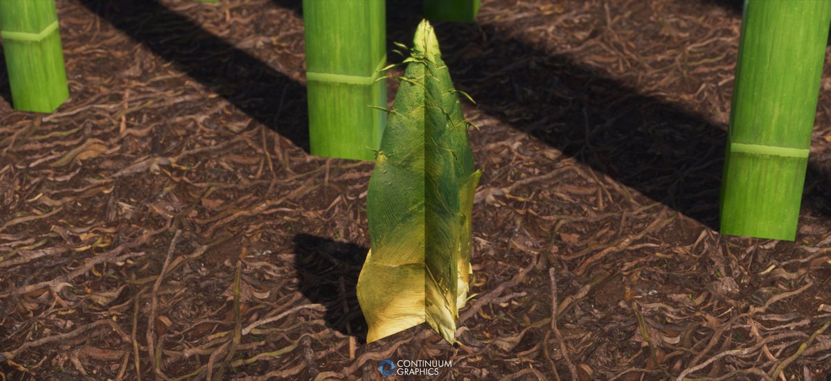 Continuum Graphics LLC. tweet media