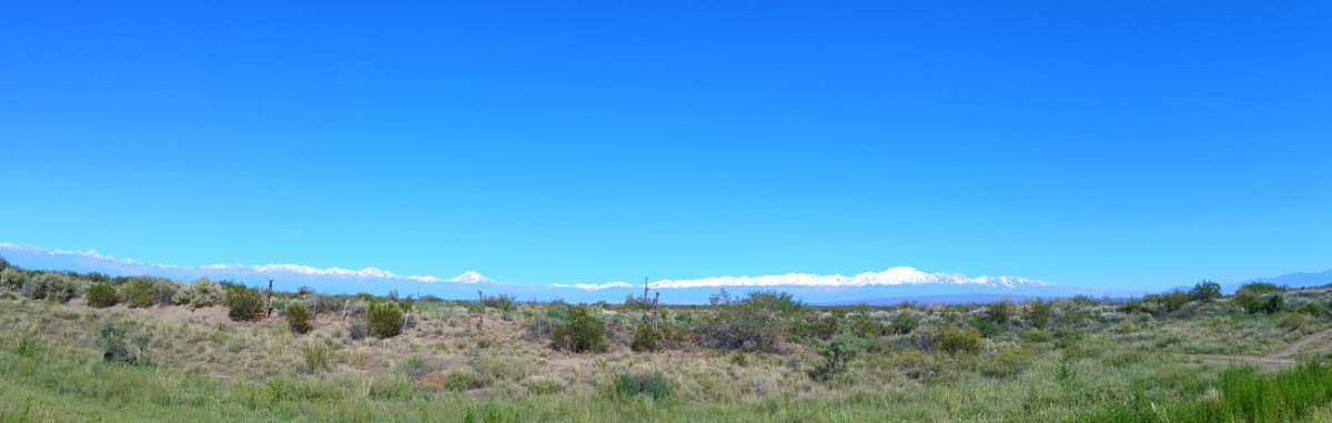 matibacur's tweet photo. Mendoza tierra del sol y del buen vino!

Amanecer despues de 3 días de inclemencias climáticas.

#Mendoza https://t.co/1BR1GRnFZF