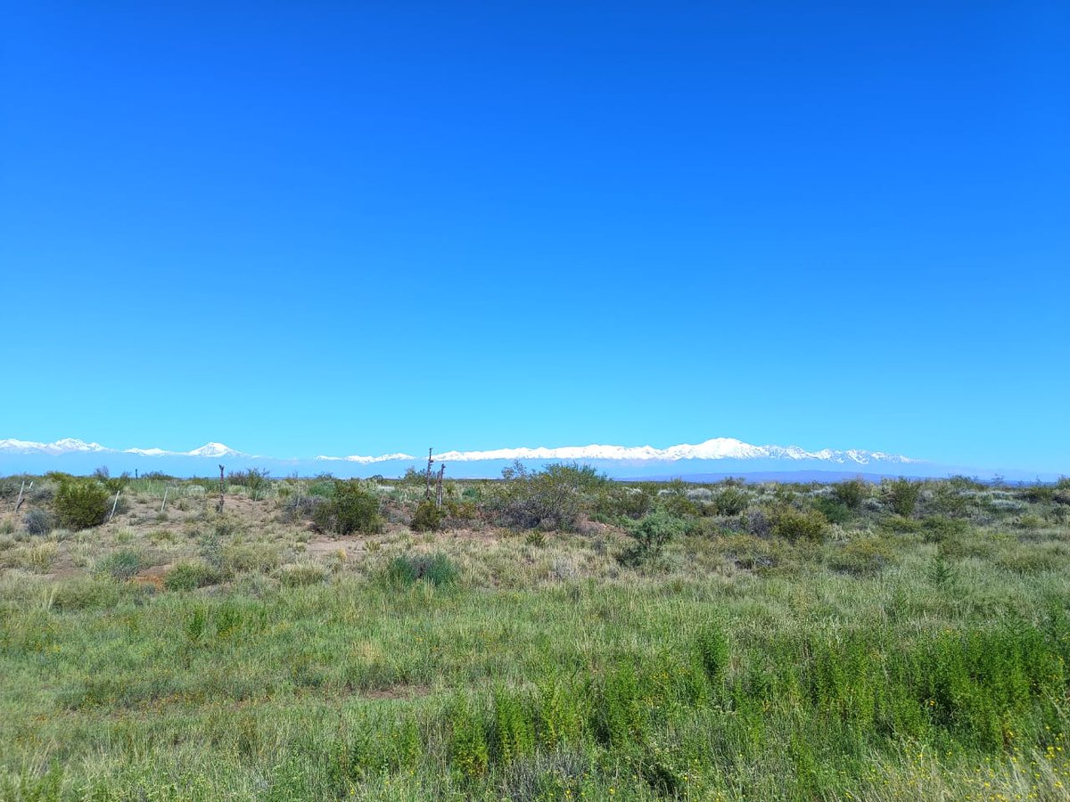 matibacur's tweet photo. Mendoza tierra del sol y del buen vino!

Amanecer despues de 3 días de inclemencias climáticas.

#Mendoza https://t.co/1BR1GRnFZF