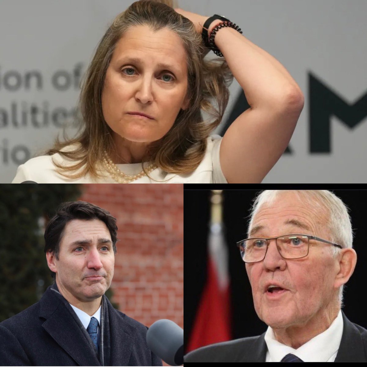 Bradshaw tweet media