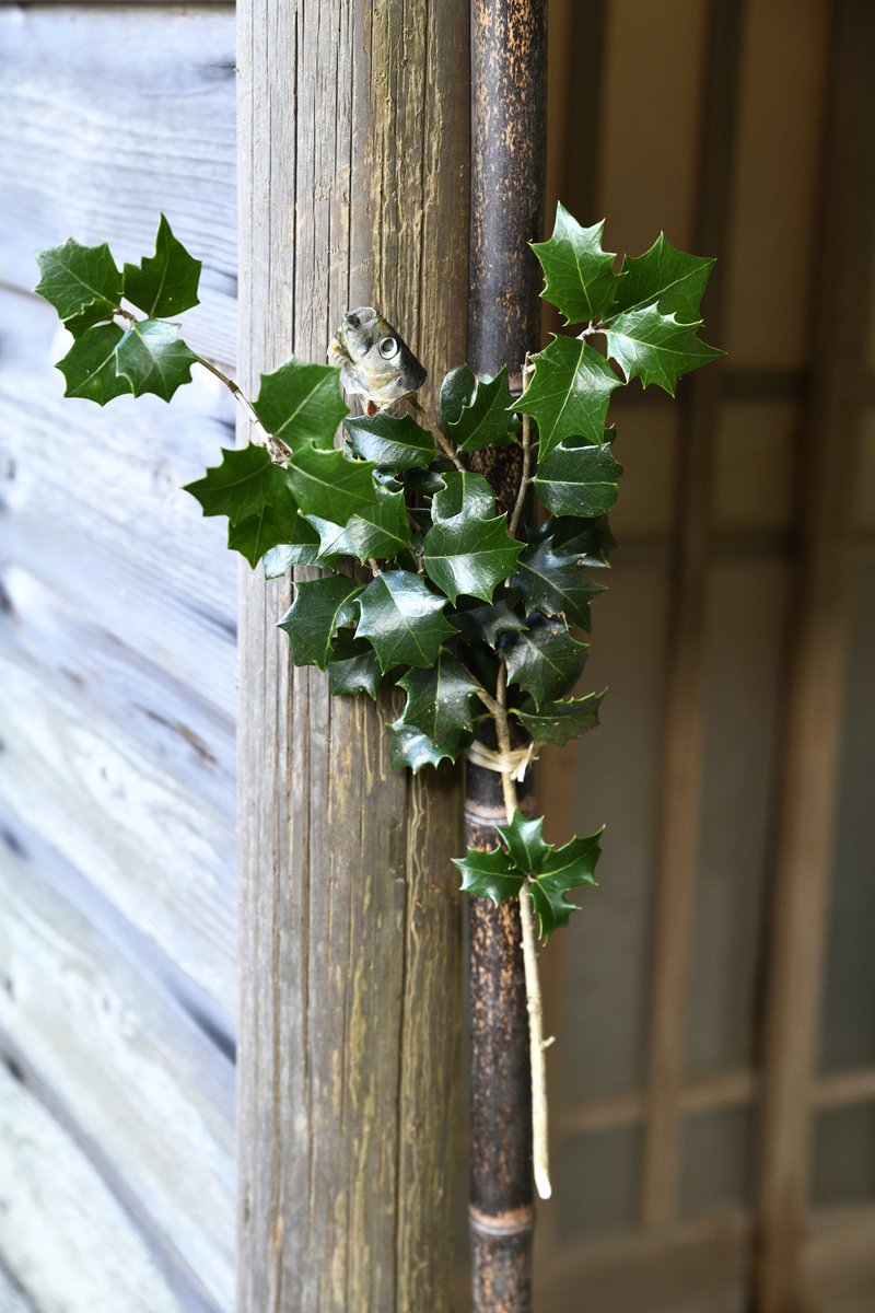 節分。境界線に目をむけるとき。すべての災いがよきものへと転じていきますように