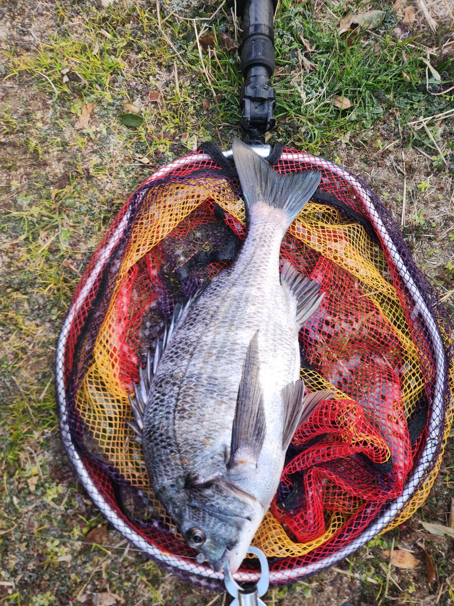 ツヨっさん tweet media