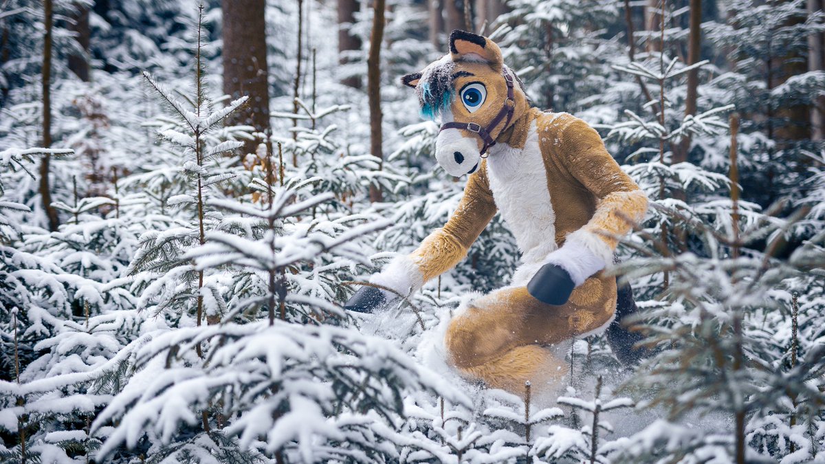 Furry C. Photo tweet media