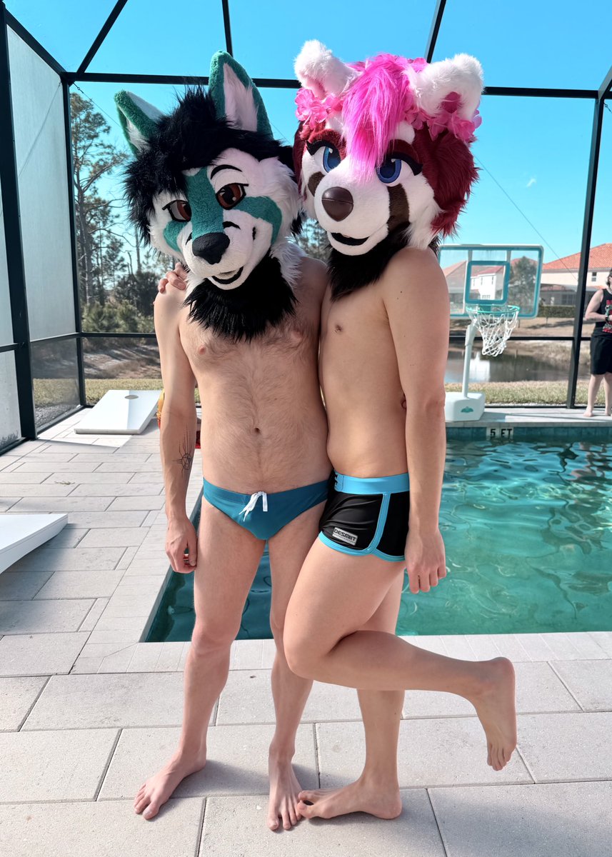 ✨Verona✨ tweet media