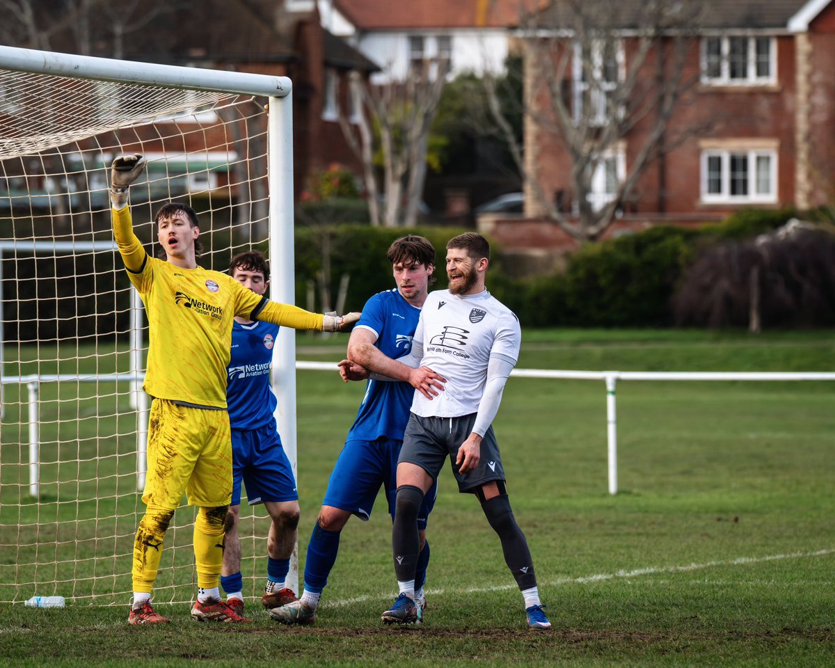 amymarshallcreative tweet media