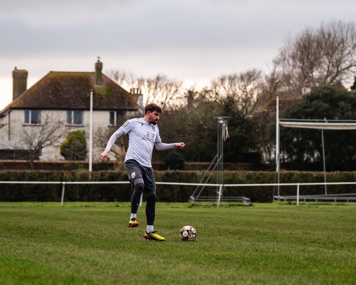 amymarshallcreative tweet media