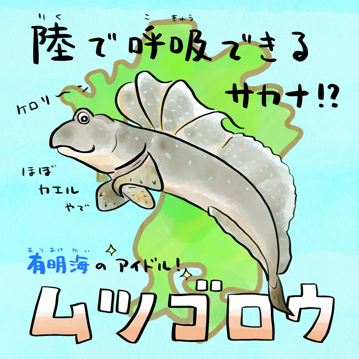 さかなのおにいさん かわちゃん (@sakana_bro) / Posts / X