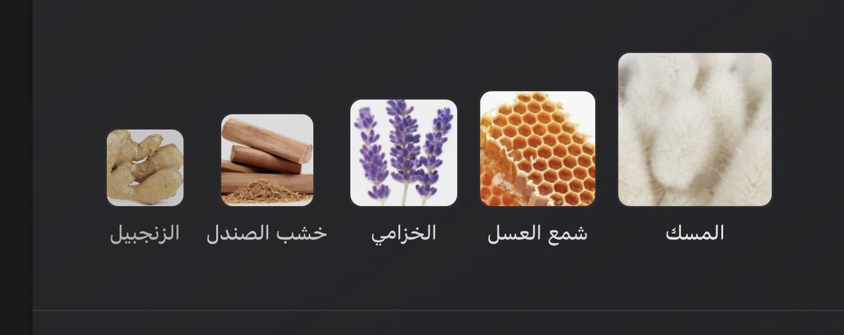 OS_perf's tweet photo. النوتات الي فوق لنسخة الاكستريت * 
هذي نوتات العطر 👇🏻 النسخة العادية https://t.co/C4wC9gacEY