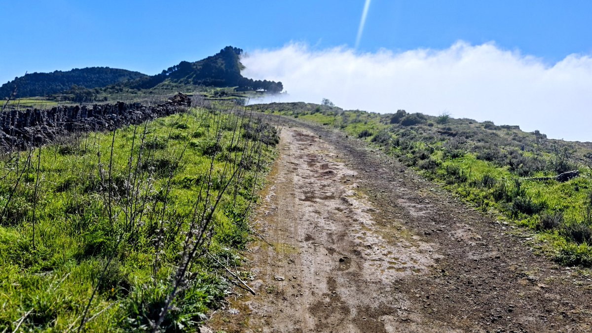 SalitreLaCaleta's tweet photo. VV Apartamentos Salitre en La Caleta en El Hierro..

ℹ️ reservar en https://t.co/U8nbZqHSy5

@salitrelacaleta
#salitrelacaleta
#dondeelsilencioseoye
#elhierro
#sinfiltros
#conelmovil
#desdeelmovil
#relax 
#nisdafe
#meseta

📸 @Pepepardal @JosePardal_ https://t.co/ImKsSyAYwR