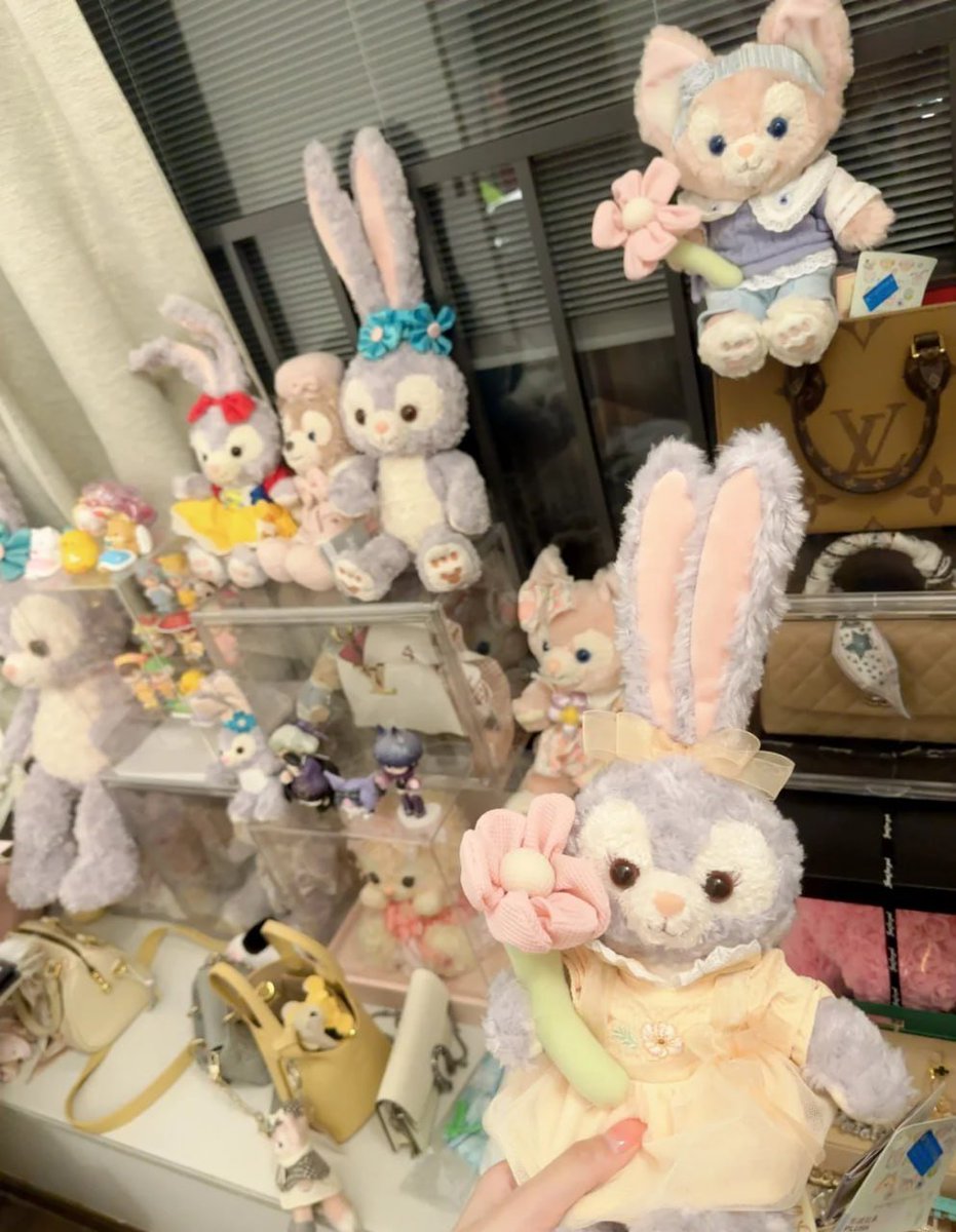 Stella Lou morning cuddles in my little bunny paradise