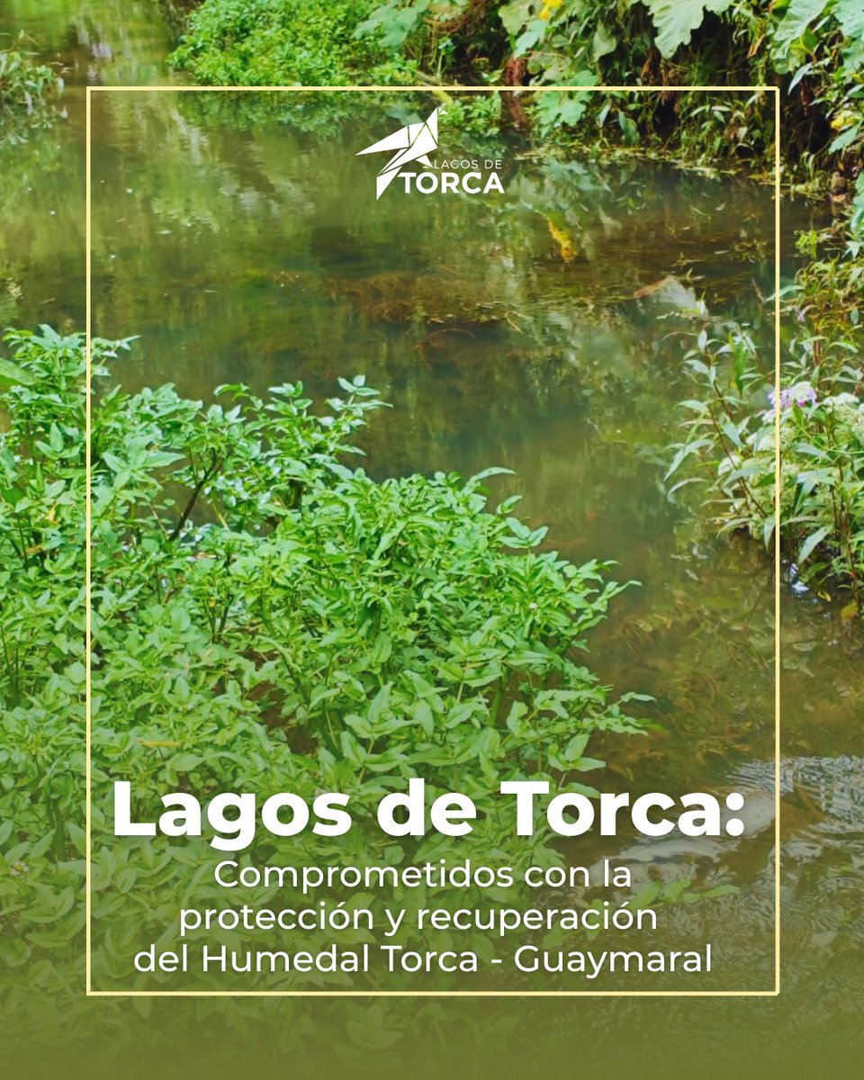 Lagos de Torca tweet media