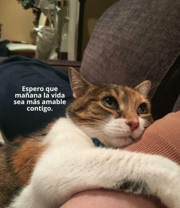 Bandidosfrasess's tweet photo. https://t.co/TGNb6Cter6