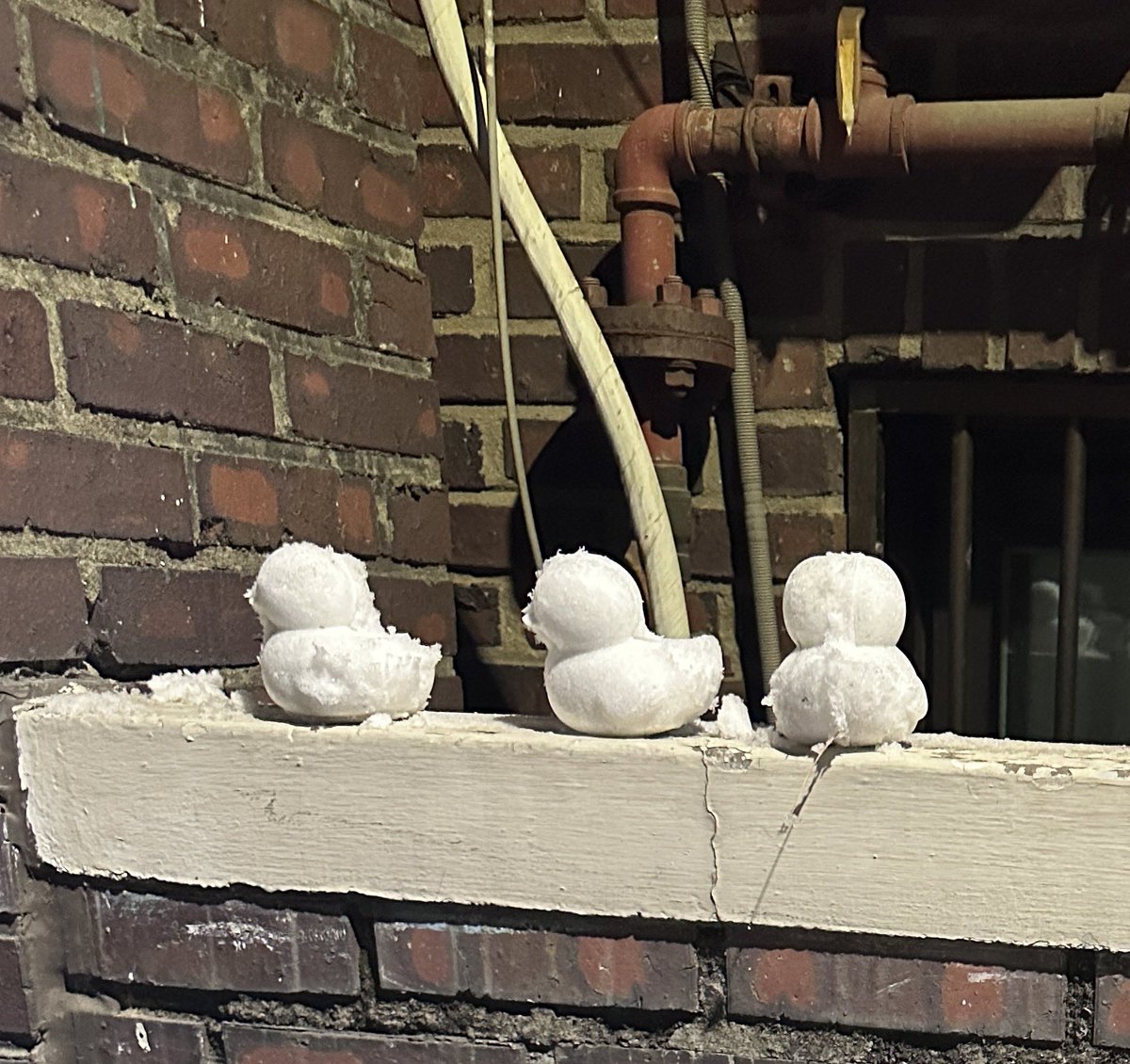 sh1n (@2x9xxx) on Twitter photo 