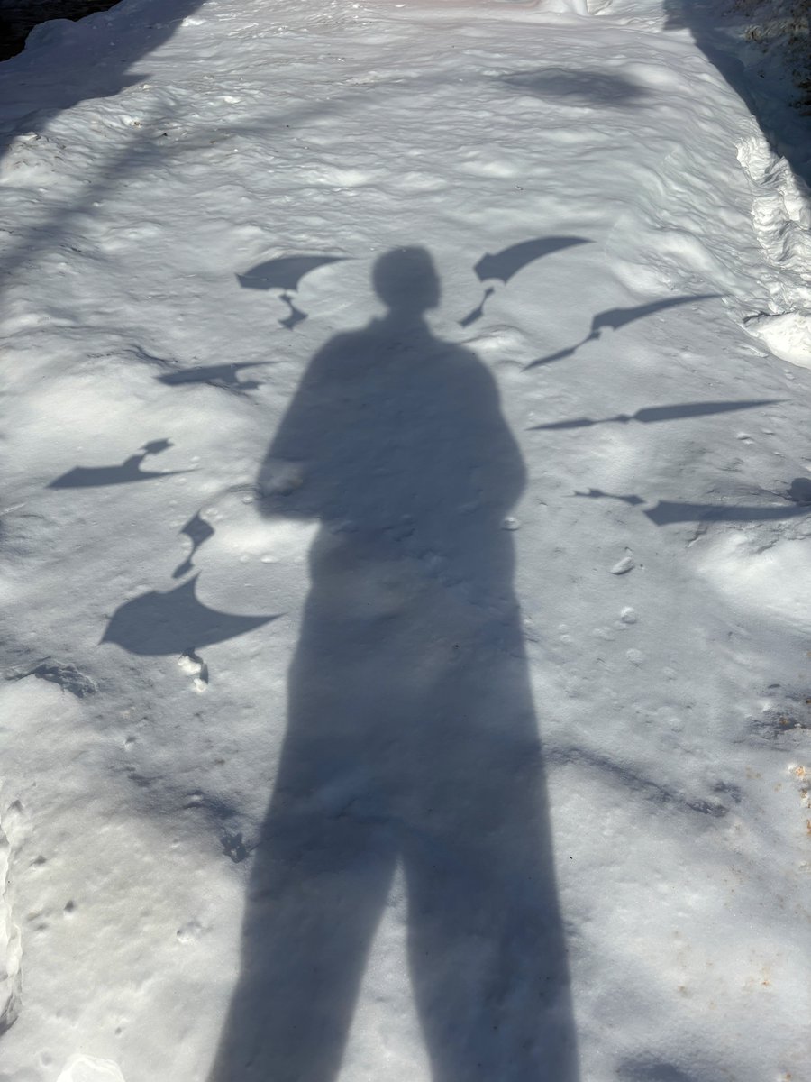 Felt like this looked cold enough to post