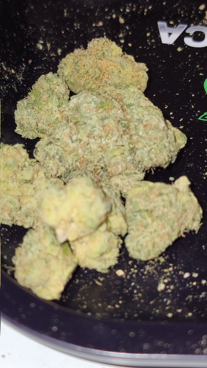MRNMRSStaysHigh's tweet photo. @vizurantvis #BlackMaple @CallmeTHCa just got it today https://t.co/gElVd7OH8G