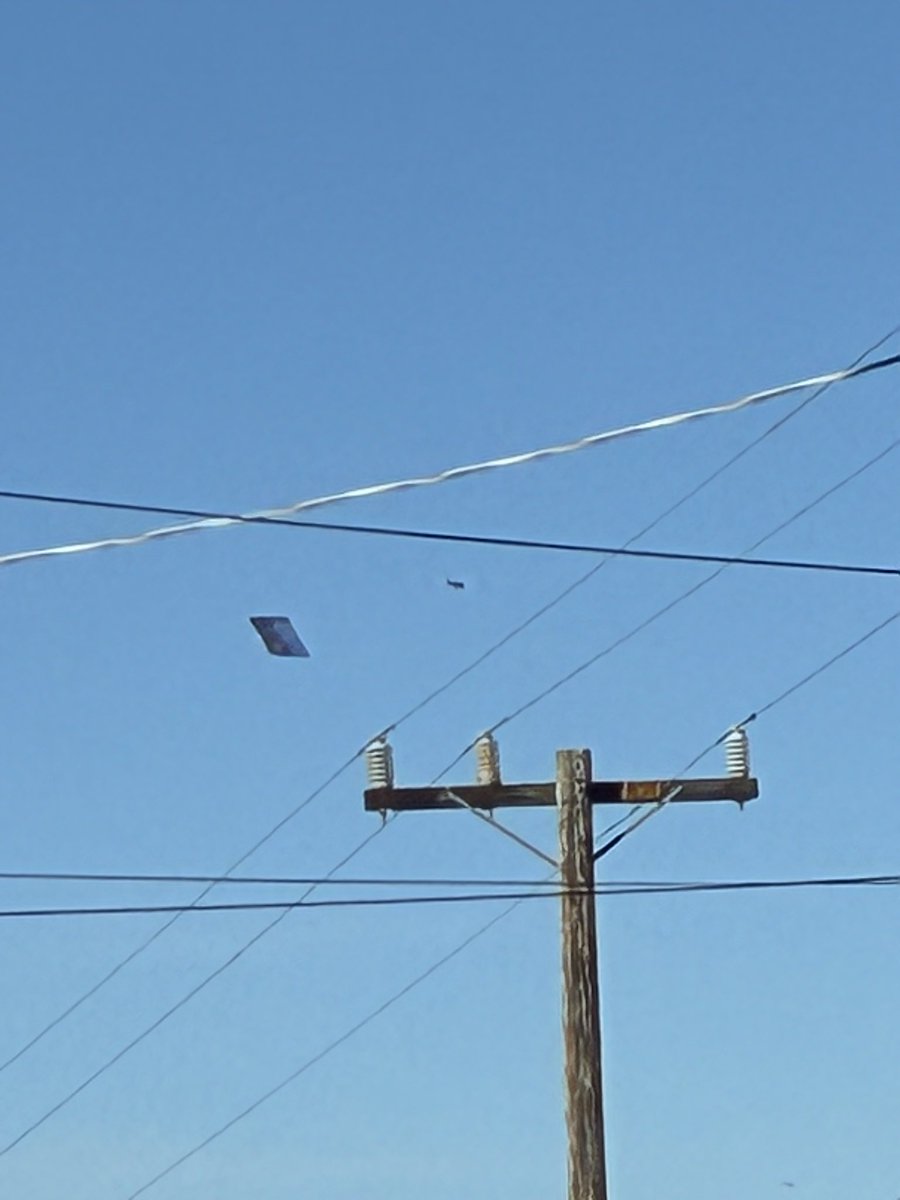 Marco Dewey tweet media