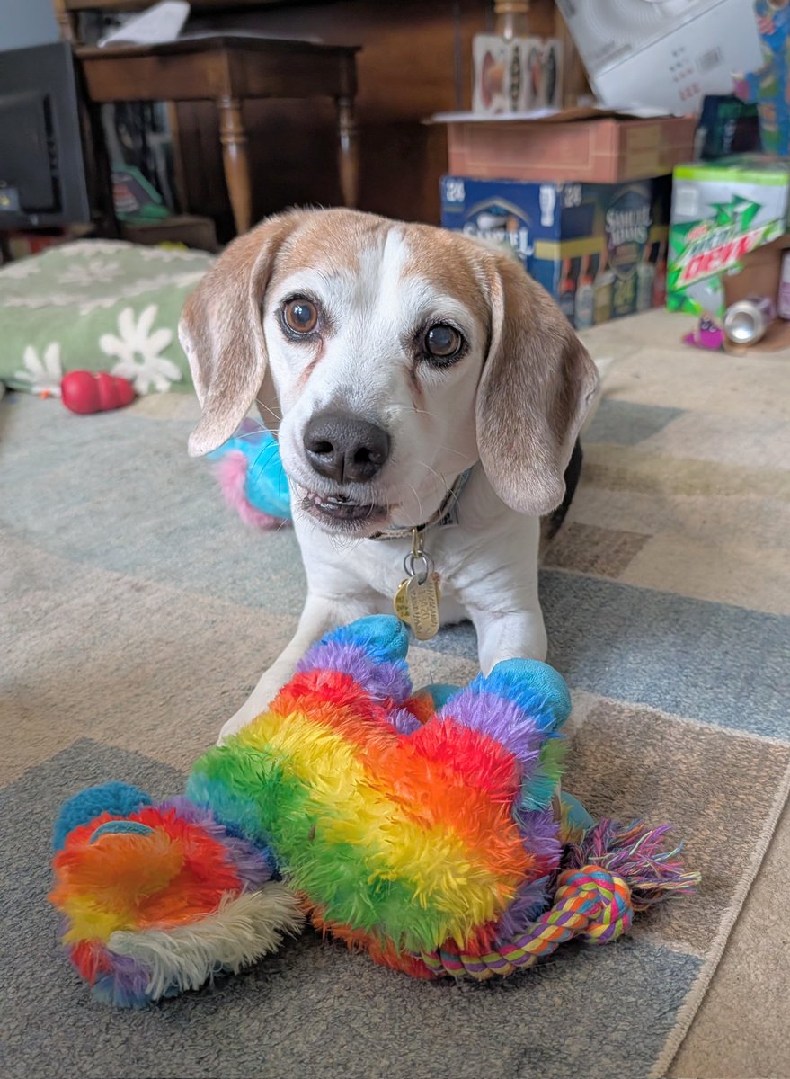 I decided that as a reward for making it through the 31 years of January, I'm giving myself a Muggs. Not sure how I'm going to tell the husband yet, but I suspect he won't be overly shocked.