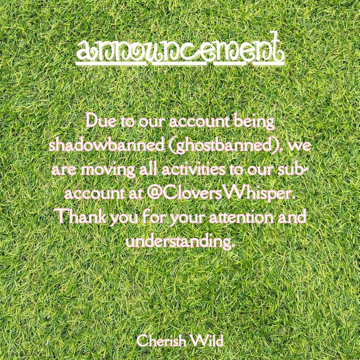 󠁽󠀮󠀮󠀠󠀠 ☘️🌷.