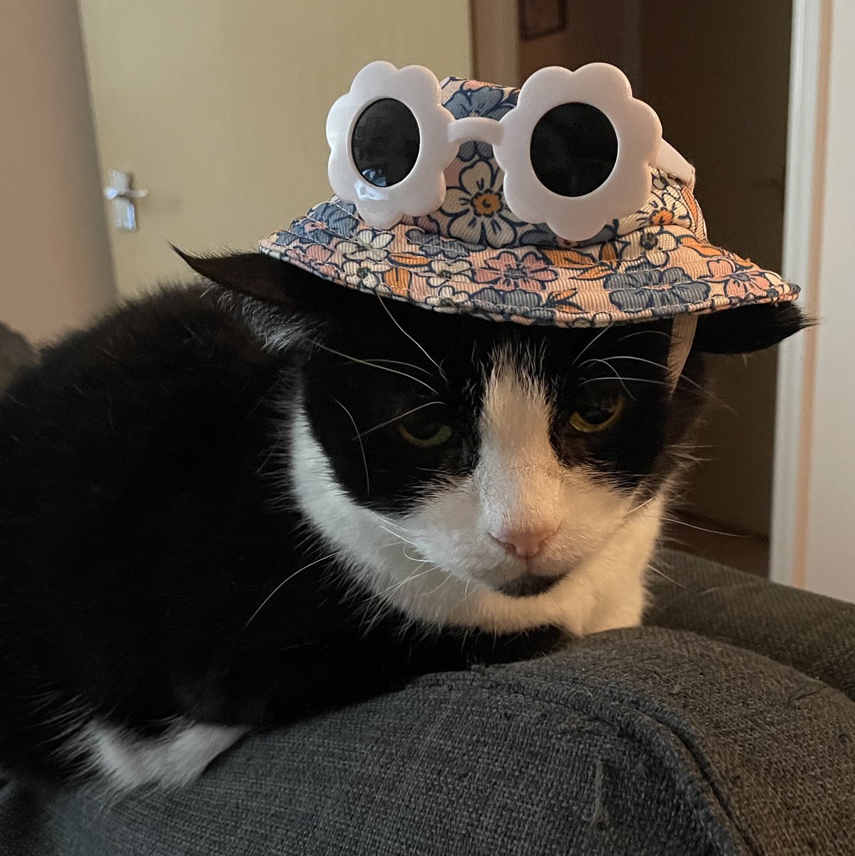 roobs✨🫶🏼 tweet media