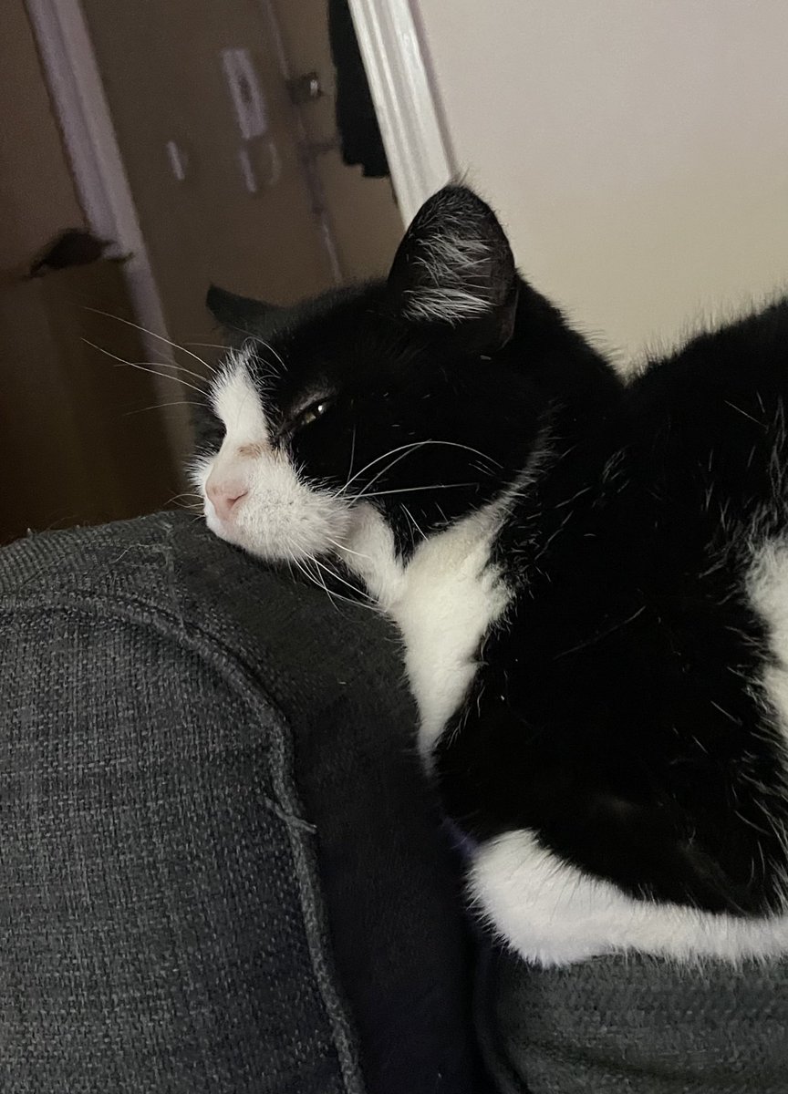 roobs✨🫶🏼 tweet media