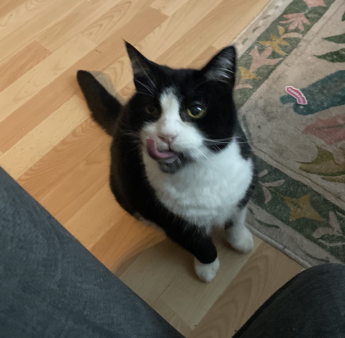 roobs✨🫶🏼 tweet media