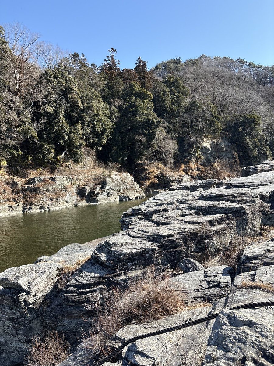 rd____k's tweet image. 