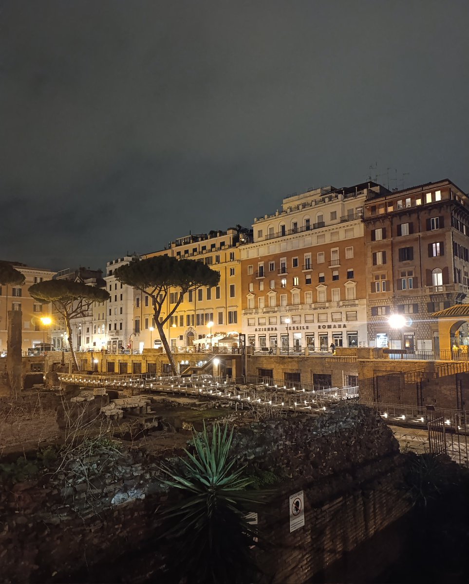 Kraljica Vila (@tkvtweet) on Twitter photo 