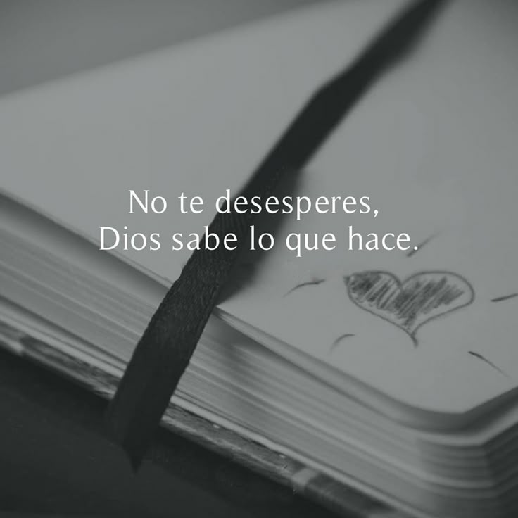 BibliaEnLinea® ⚓️ (@biblia_linea) on Twitter photo 