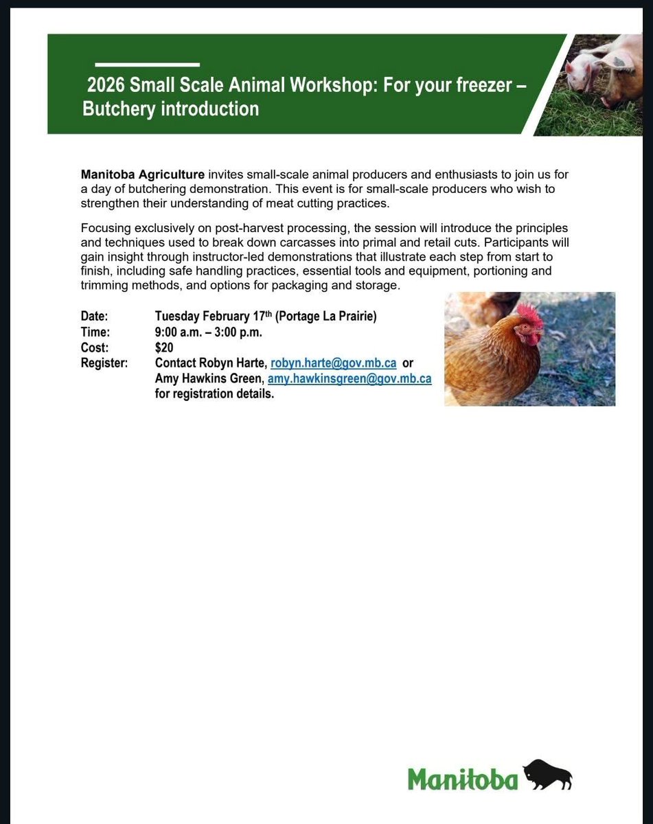 Callum Morrison tweet media