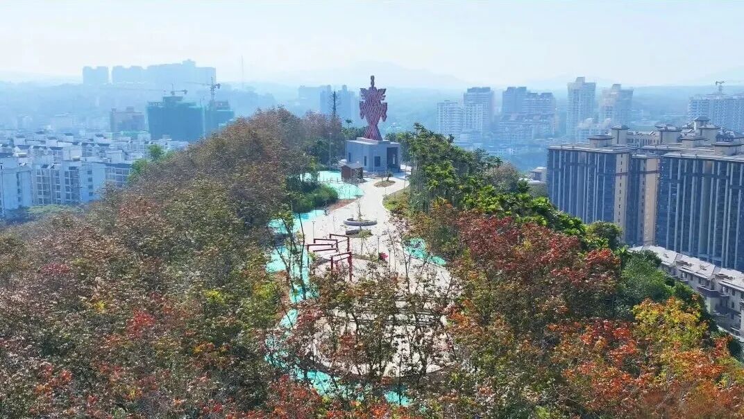 Hi Baoting tweet media