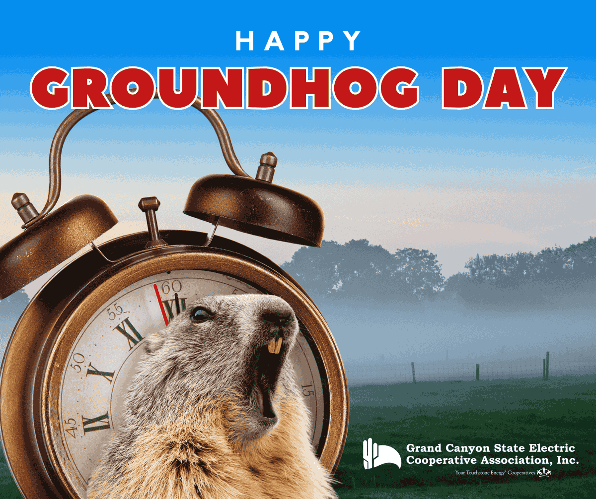 Happy with Punxsutawney Phil's prediction? Either way, Happy #GroundhogDay!