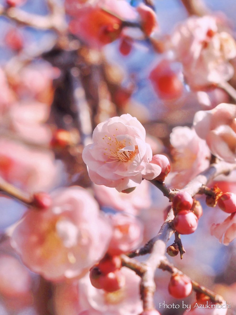 あいみママ (@aimi771226) / Posts / X