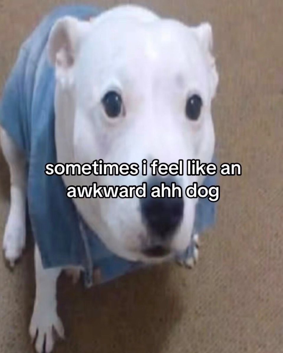 Wild TikToks (@wildtiktokss) on Twitter photo 