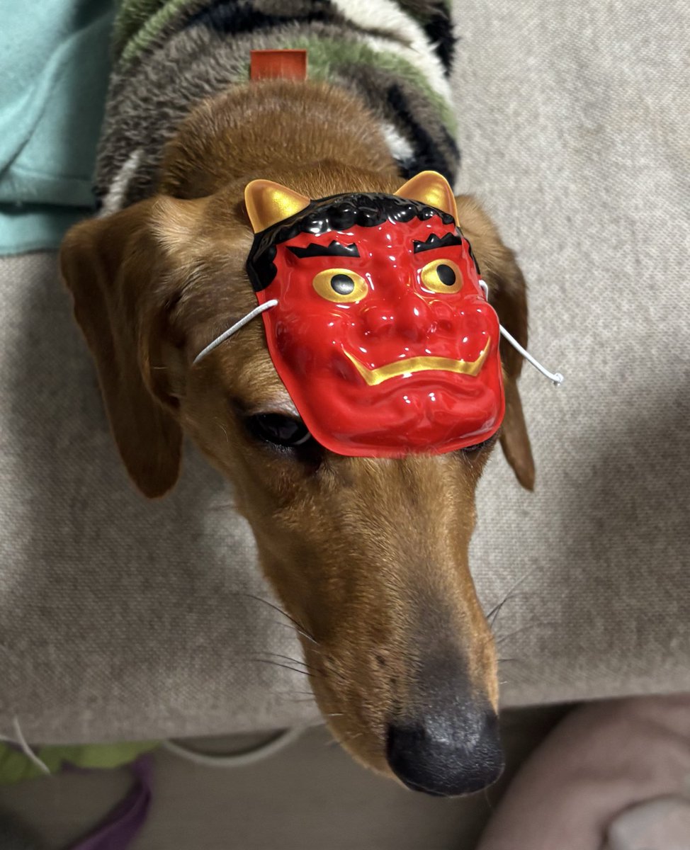 01161San's tweet photo. されるがままの我が子達😅

鬼は外福は内👹🥜
 #節分 https://t.co/x74esLkH7A