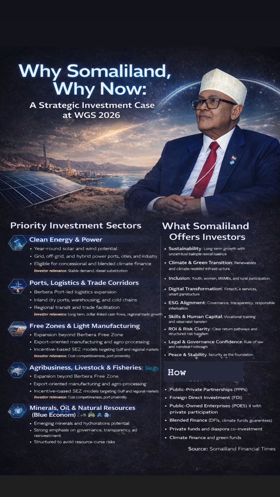 Somaliland Financial Times tweet media