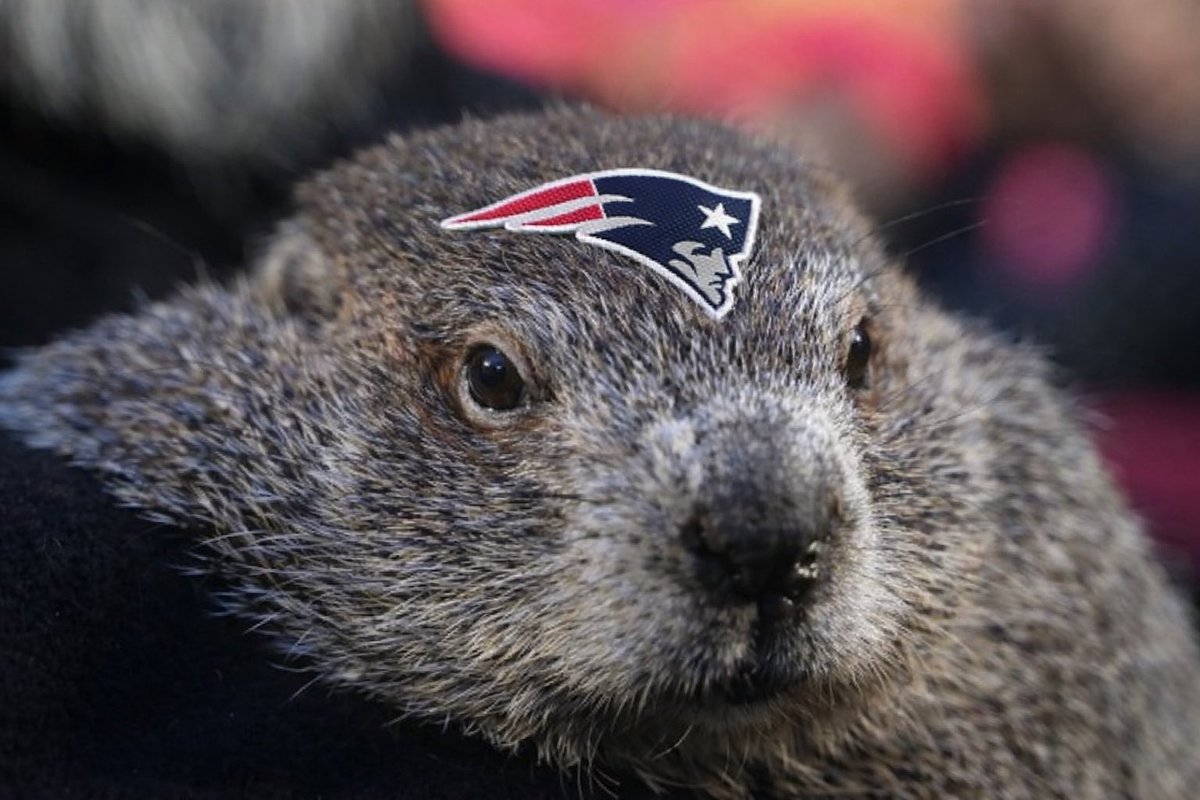 Whenever groundhog Punxsutawney Phil sees his shadow, it’s good news for the Patriots in the Super Bowl…

2002 — Pats won Super Bowl
2004 — Pats won Super Bowl
2005 — Pats won Super Bowl
2015 — Pats won Super Bowl*
2017 — Pats won Super Bowl
2026 — ???

*beat Seahawks