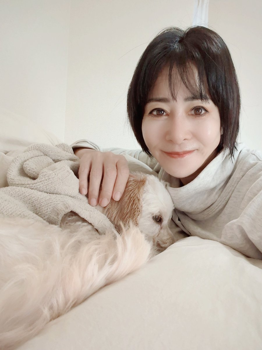 Chi❤︎様ご確認をよろしくお願い致します 重要なお知らせ】締め切りまでに情報の確認をお願いします』という