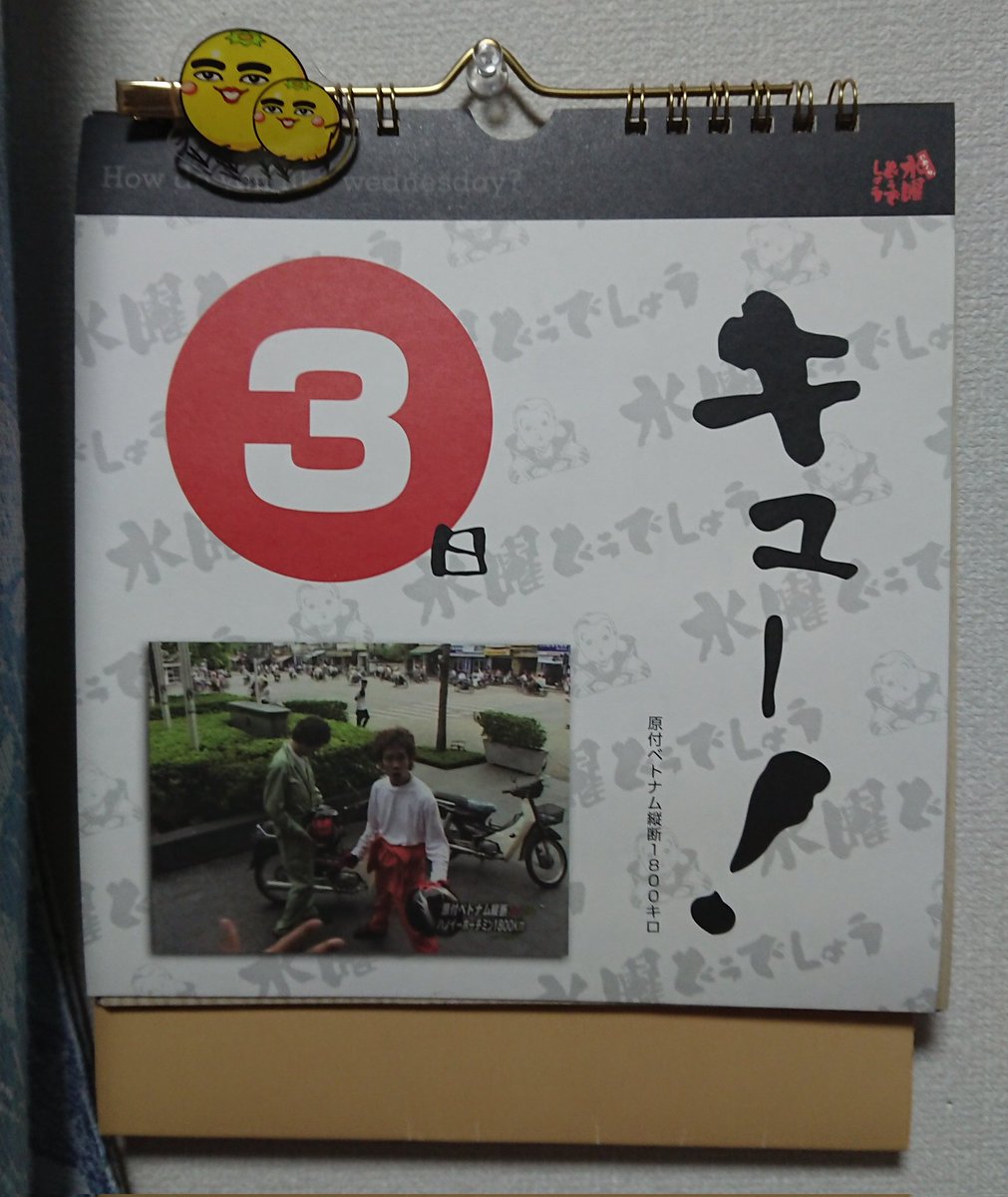 おはようございます🌞 ＃水曜どうでしょう ＃大泉洋 ＃鈴井貴之
