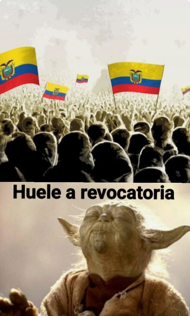 Fernando íñiguez ✊🏼🧔🏻‍♂️🇪🇨 tweet media