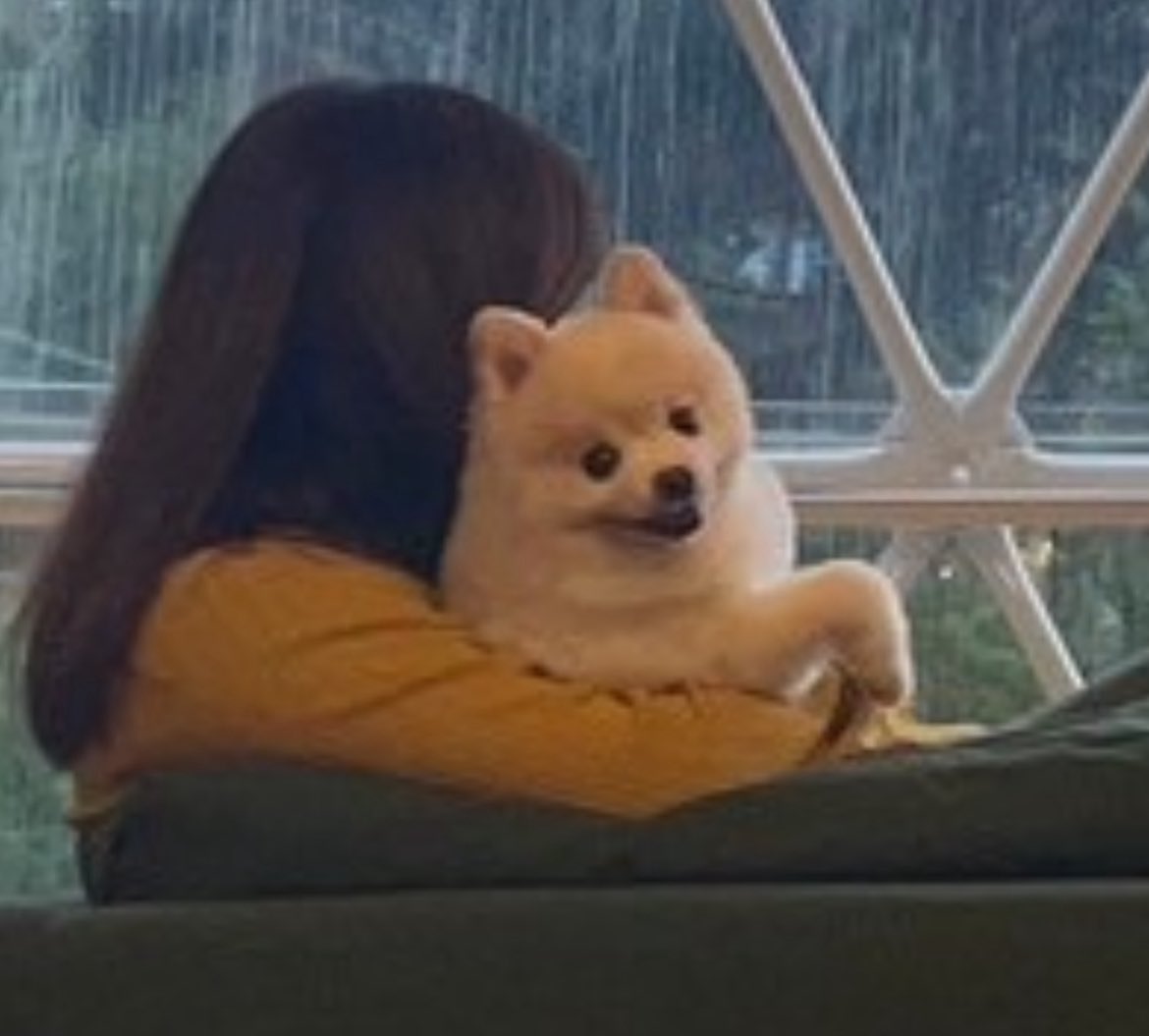 ぽんすけ大先生 (@yuyuyuyumee) / Posts / X