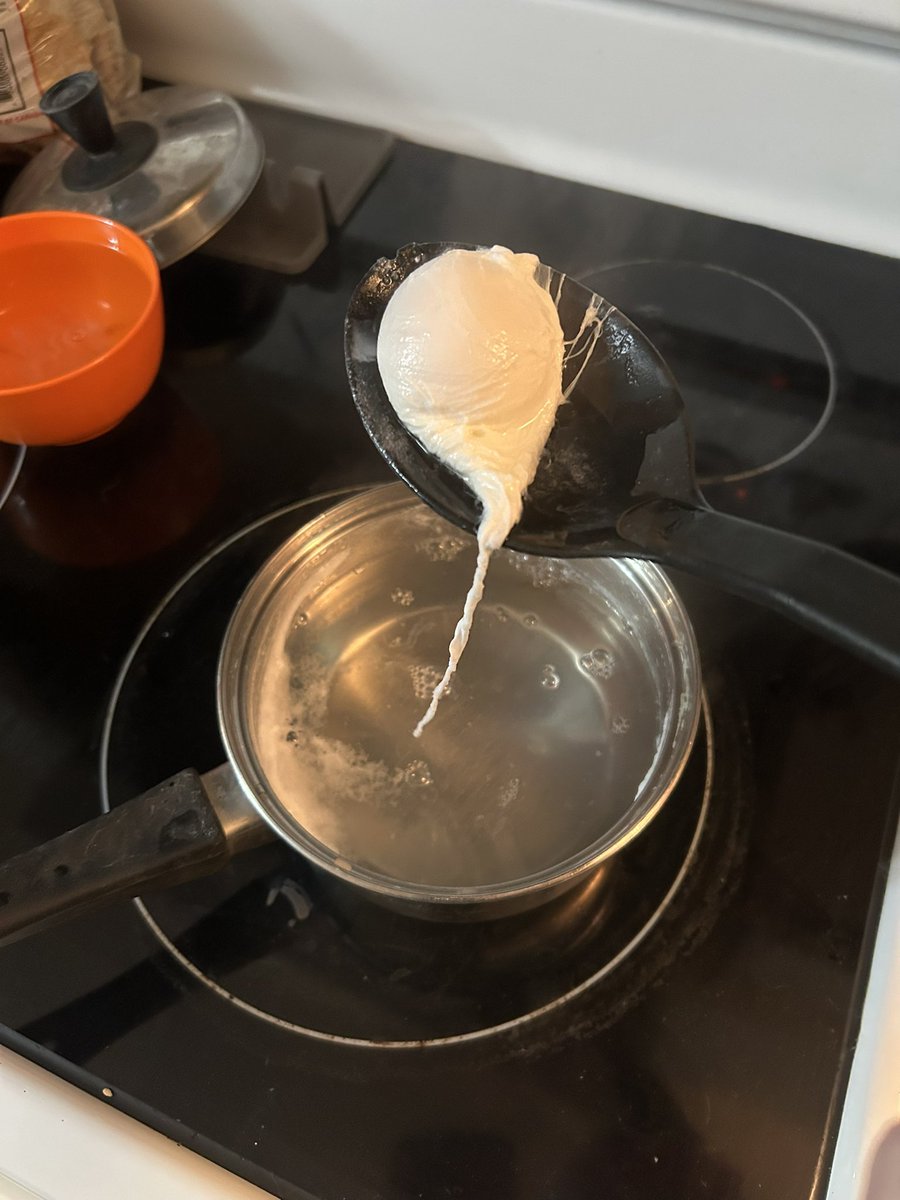 MissLouvely's tweet photo. L’art d’essayer des nouvelles techniques culinaires ! Mon œuf poché ressemble plus à un spermatozoid qu’à un œuf lol
#imAchef #cooking https://t.co/8EmA8ZvMJE