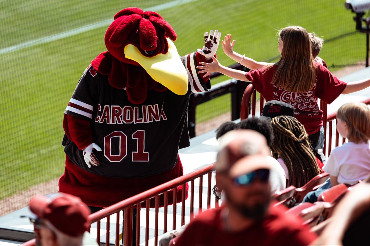 South Carolina Softball tweet media