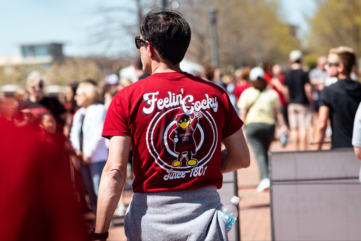 South Carolina Softball tweet media