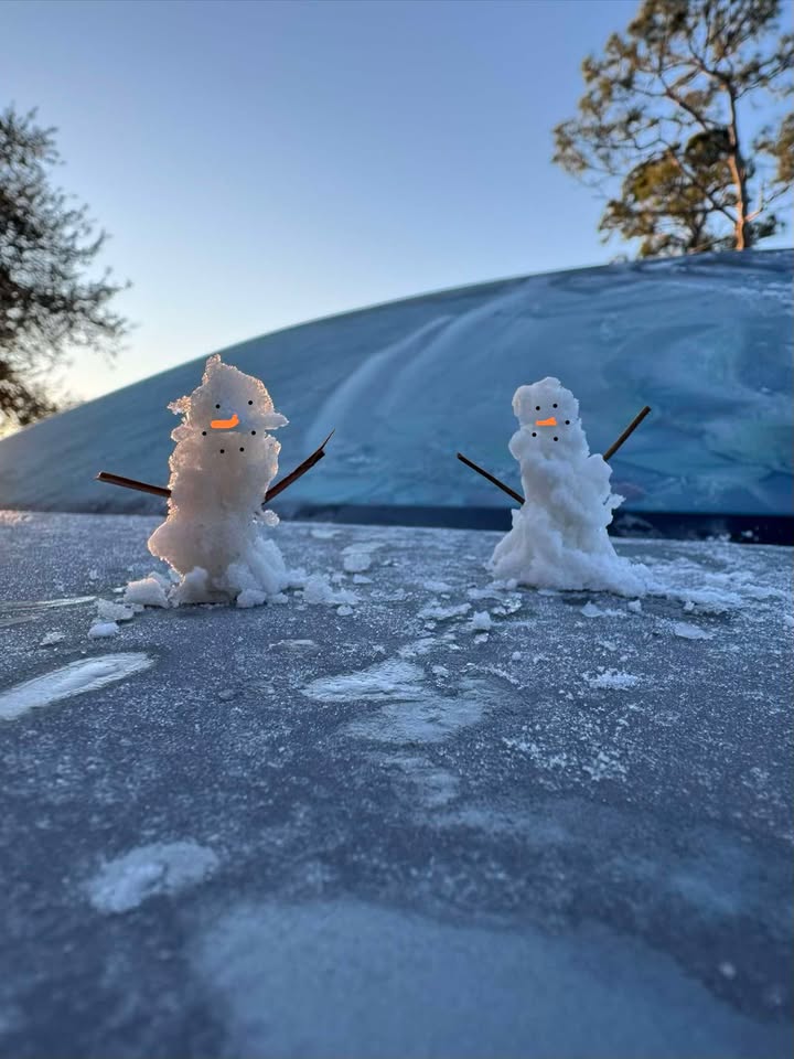 TMainolfiWESH's tweet image. Kelsey Breeden sending me some pictures of the minature snowmen she made from the frost on her car over in Palm Bay! One more #freeze tonight. #winter #florida