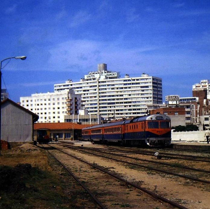 perro (@perro462746415) on Twitter photo 