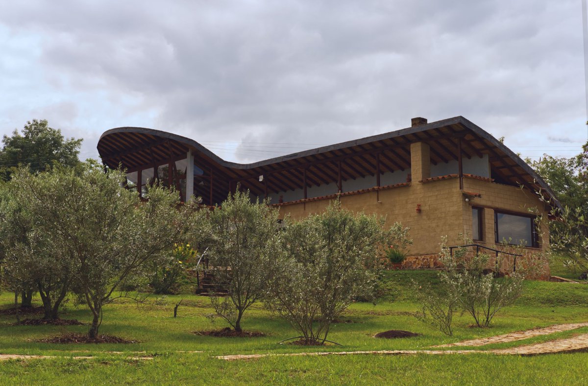 Akitar_x's tweet image. Contemporary eco-architecture meets rural Colombia among olive trees and rolling hills. #ColombianCountryside #SustainableDesign #RuralRetreat #EcoArchitecture