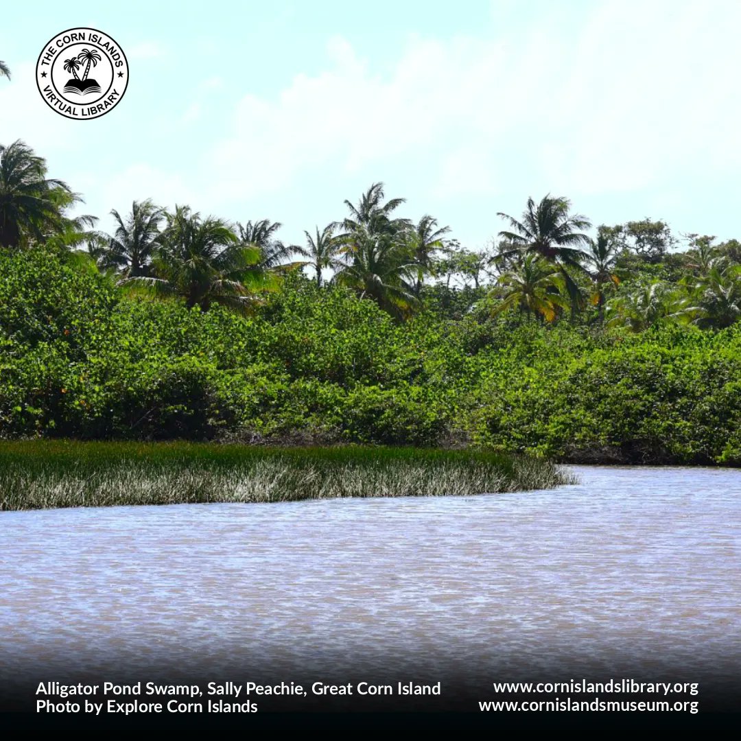The Corn Islands Virtual Library tweet media